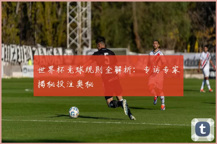 世界杯竞球规则全解析：专访专家揭秘投注奥秘