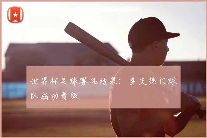 世界杯足球赛况结果：多支热门球队成功晋级