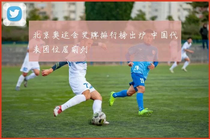 北京奥运会奖牌排行榜出炉 中国代表团位居前列