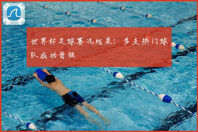 世界杯足球赛况结果:多支热门球队成功晋级