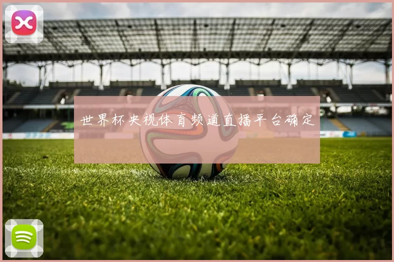 世界杯央视体育频道直播平台确定