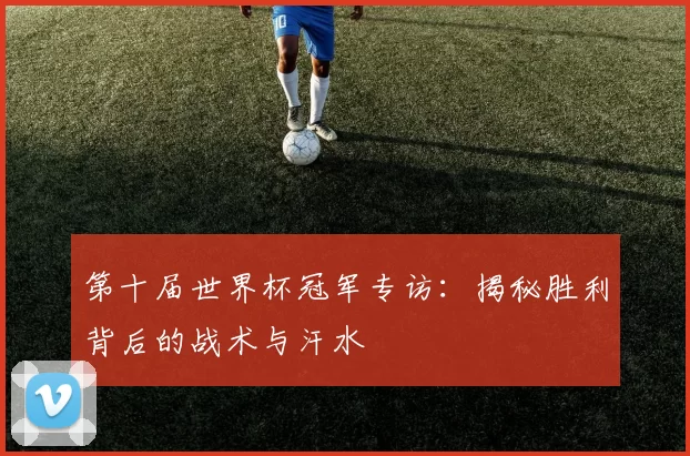 第十届世界杯冠军专访：揭秘胜利背后的战术与汗水