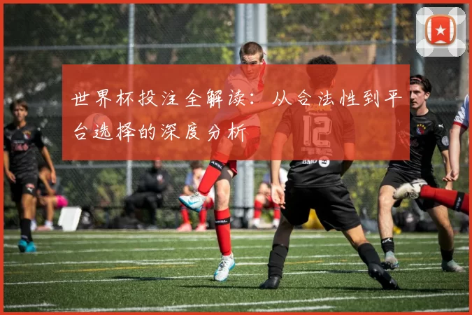 世界杯投注全解读：从合法性到平台选择的深度分析