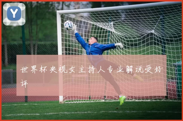 世界杯央视女主持人专业解说受好评