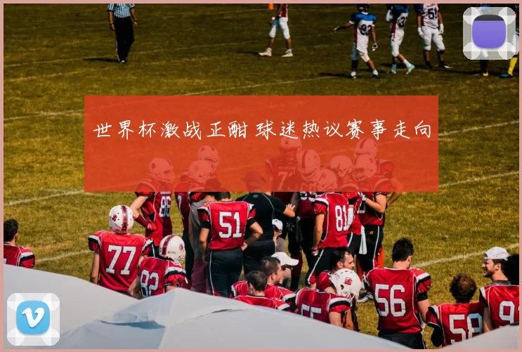 世界杯激战正酣 球迷热议赛事走向