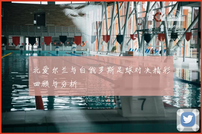 北爱尔兰与白俄罗斯足球对决精彩回顾与分析
