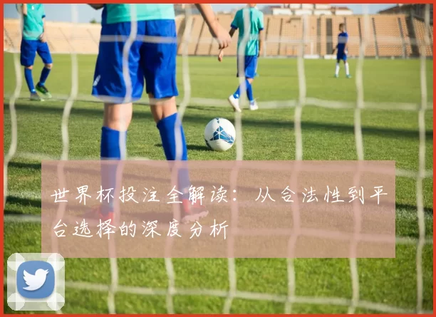 世界杯投注全解读：从合法性到平台选择的深度分析