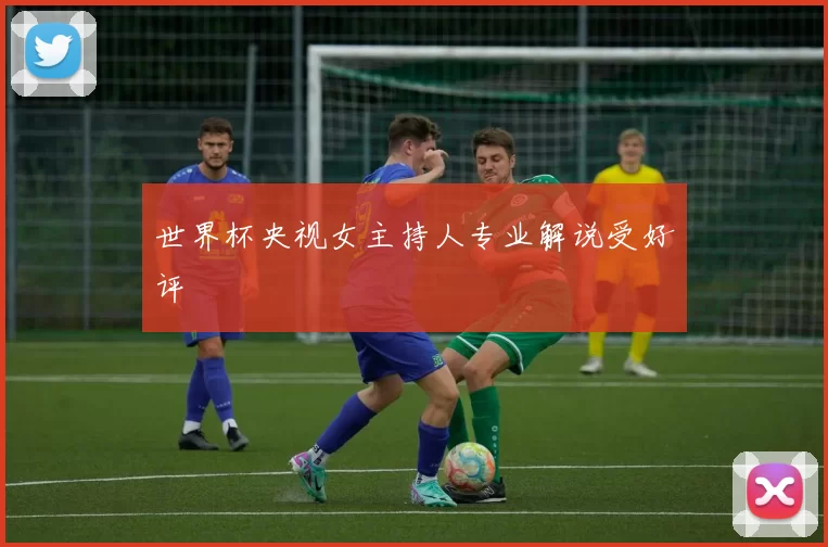 世界杯央视女主持人专业解说受好评